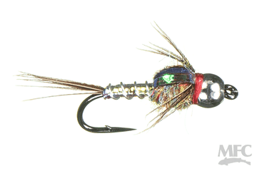 BH Lightning Bug - Rainbow