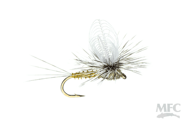 CDC Loop Wing Dun - BWO