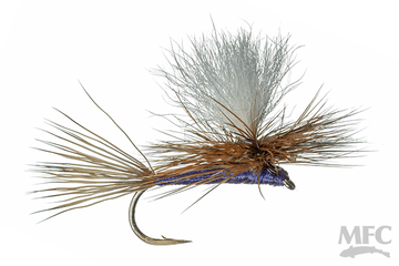 Carlson's Purple Haze