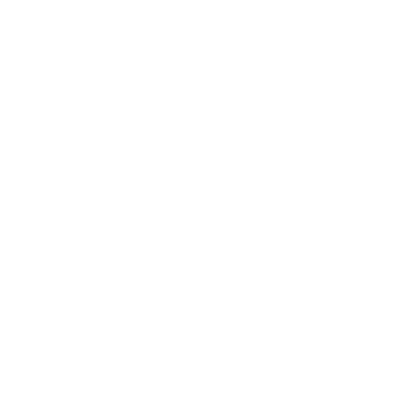 Lightweight Fly Shop