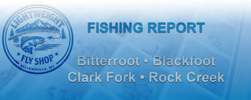 Western Montana Fly Fishing Report – August 2-8, 2026 | Lightweight Fly Shop