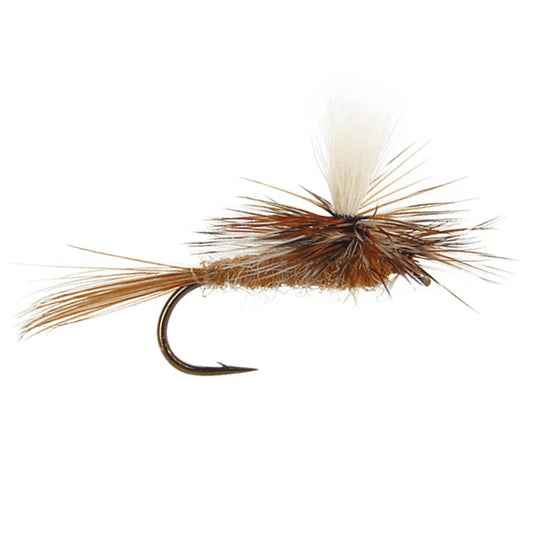 Brown Quill