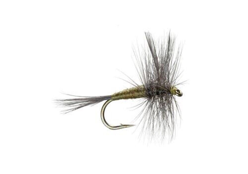 BWO Eastern Tie