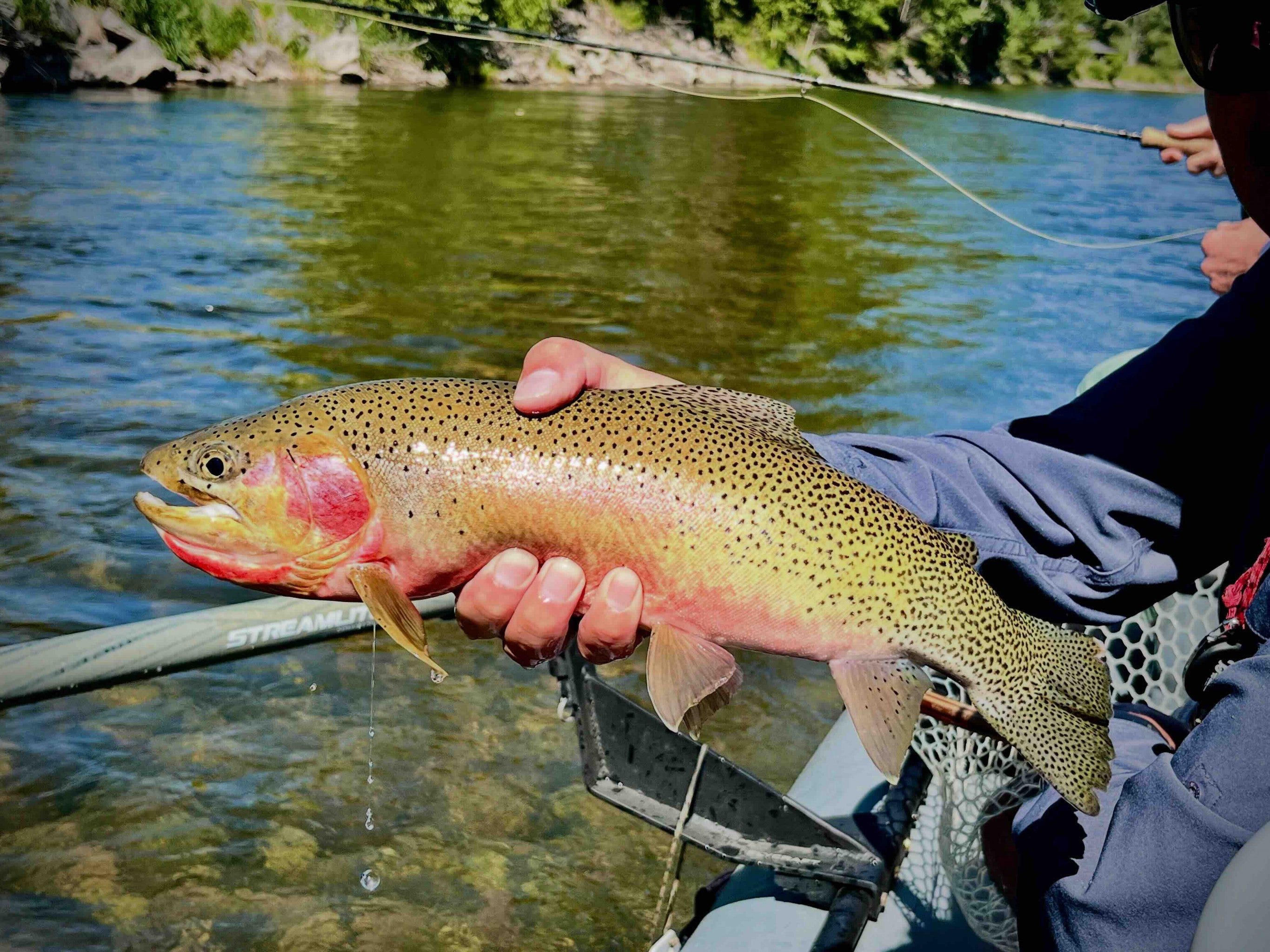 slider image slider_item_RGdMpX