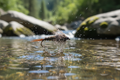 20 Incher fly without fishing line