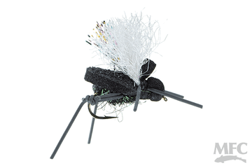 AJ's Beetle - George (Black Peacock)