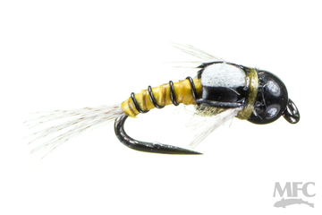 BH Curved Split Back - BWO