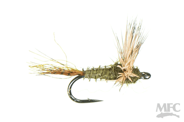 Biot Sparkle Dun - Baetis Olive
