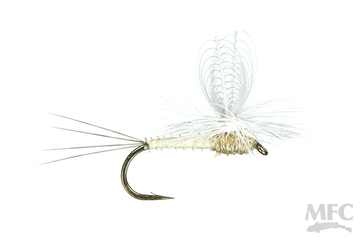 CDC Loop Wing Dun - PMD
