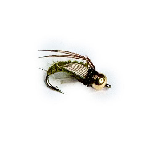 Beadhead Caddis Pupa