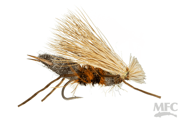Cat Vomit - Salmonfly