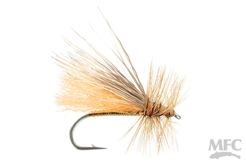 Clark's Stone - Salmonfly