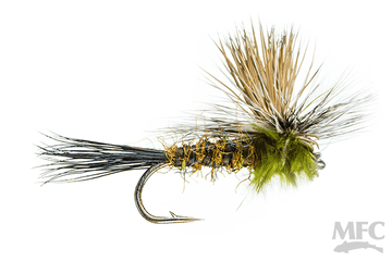 Clook's Beefcake Hecuba