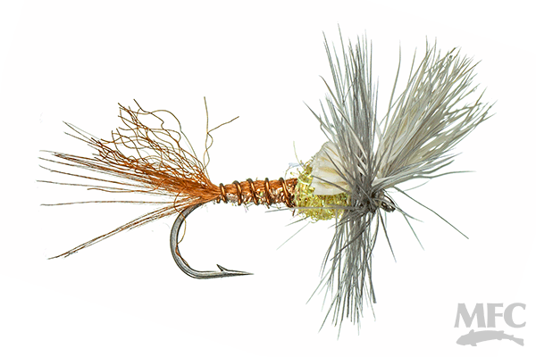 Flash Cripple - PMD – Lightweight Fly Shop