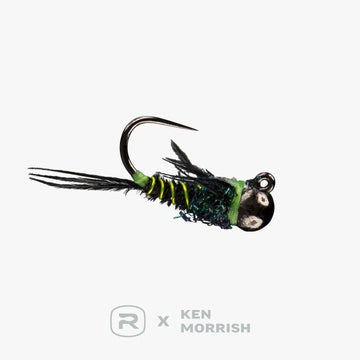 RIO's Morrish Pleasant Tail TB