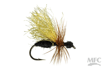 Flying Ant - Black