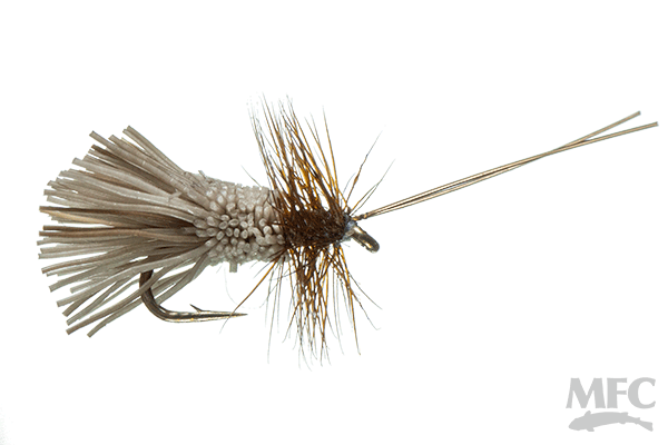 Goddard Caddis