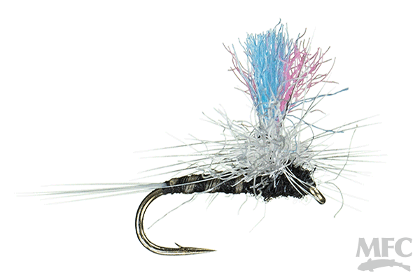 Guide Winna Spinna - Trico