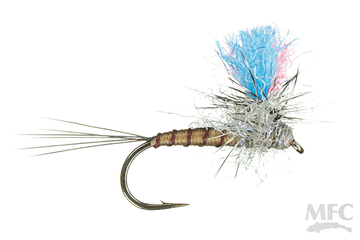 Guide Winna Spinna Hecuba