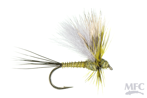 Jake's Hatchback - BWO