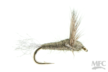 Sparkle Dun - BWO