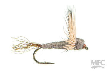 Sparkle Dun Callibaetis