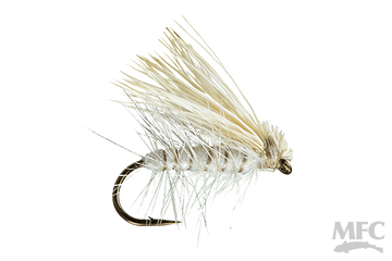 Spruce Moth