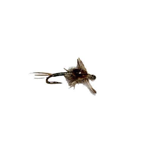 Thorax Grey Caddis Pupa