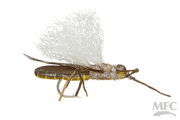 True Skwala - Winged