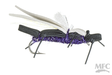 Water Walker - Black/Purple