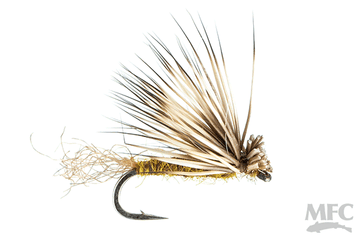 X-Caddis - Olive