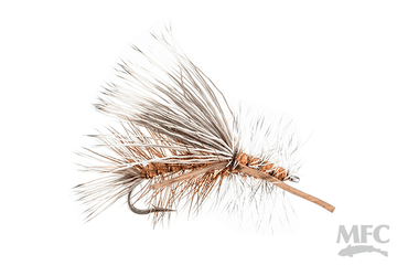 X-Stimulator - Orange