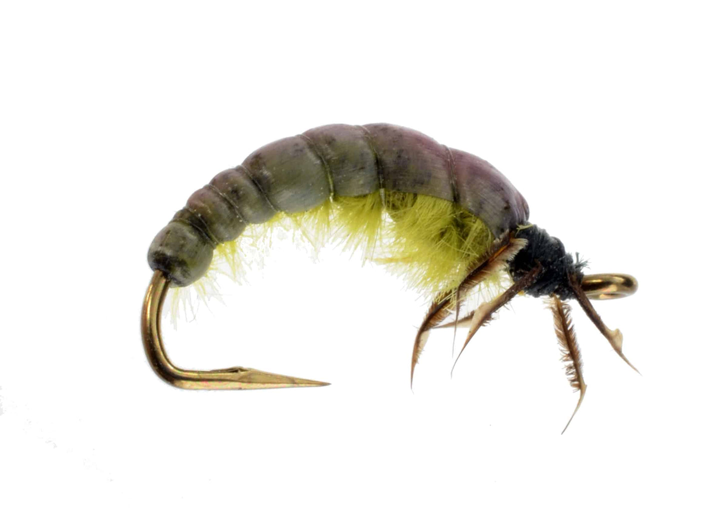 Crawling Caddis Pupa